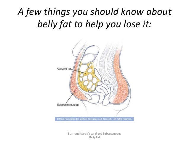 remove visceral belly fat